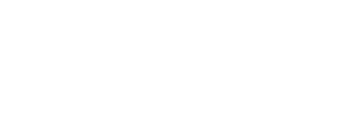 Nizlo